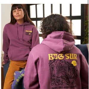 Parks Project Big Sur California puff print hoodie